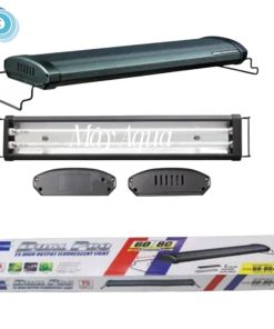 ĐÈN ODYSSEA DUAL PRO T5HO 150cm – 170cm