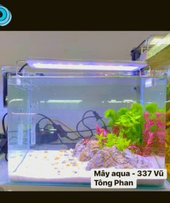 BỂ THUỶ SINH SETUP SẴN (30X19X21CM, FULL BỘ LỌC, ĐÈN) – BTSA01
