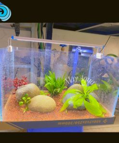 BỂ THUỶ SINH SETUP SẴN(40X30X30CM, FULL BỘ LỌC ĐÈN)