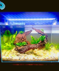 BỂ THUỶ SINH SETUP SẴN (40X24X25CM,FULL BỘ LỌC ,ĐÈN)